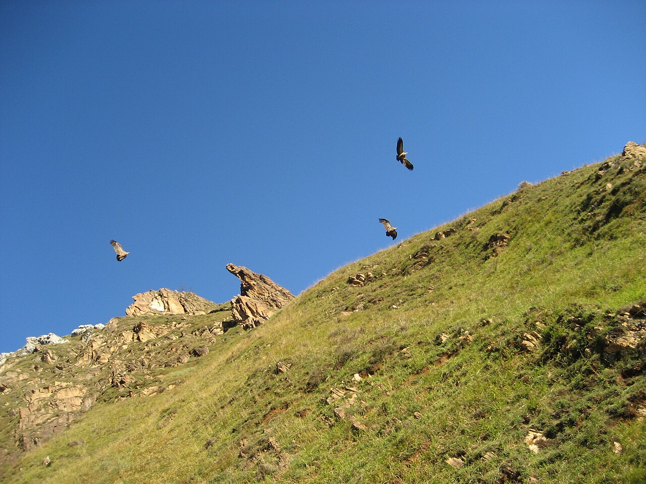Parque Natural de Las Ubiñas-La Mesa